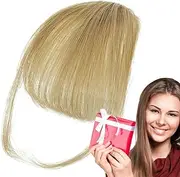Bang Extensions Clip Human Hair | Clip Air Bangs Human Hair Extensions | Natural Color Fringe Hairpieces, Stylish Neat Bangs Hair Extension for Girls, Women