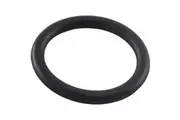 Davey Filter - Valve Rotor Shaft Oring