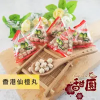 在飛比找PChome24h購物優惠-香港仙楂丸 單包 酸甘甜 蜜餞 解膩 古早味蜜餞 懷舊滋味