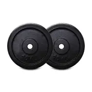 10kg Standard Weight Plates Pair