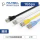 【POLYWELL】CAT6 高速網路傳輸扁線 /2M