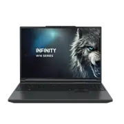 INFINITY W16 (WQXGA) GAMING RTX 5070TI NOTEBOOK