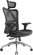 Ergonomic Office Chair, Computer Chair Desk Chair High Back Chair Breathable, Skin-Friendly Mesh Chair Adjustable 3D Armrest and Lumbar Support (Black)