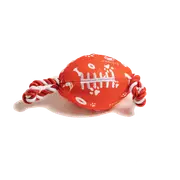 Sydney Swans AFL Footy Chew Toy