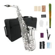 Alto Saxophone Eb Complete set with Carry Case for Professionals and Beginners