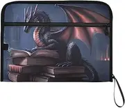 YMXFXP Expandable Filing Folder Dragon Book Retro, 13-Pocket Funny Cute Design with Sticky Labels, A4 Letter Size Document Organizer for Office, School, Boys, Girls
