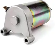 31100-05501 Starter Motor,Compatible With Suzuki DR200SE DR200 DR200S DF125 DF200 DR125E GZ125 Marauder TU125 RV125 RV200