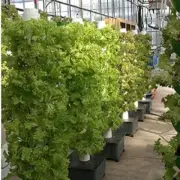 14Layers 70Pots Hydroponics Tower Growing System Garden Herbs Fruits Vegetables