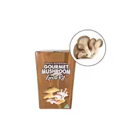Aussie Mushroom Ready to Grow Mushroom Kit - Tan Oyster - Easy to Fruit