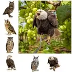 1pc Bird Repel Scarecrow Owl Scarecrow Scarer Pendant Decorative Scare Suitable