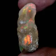 19.50 Ct October Birthstone AAA Ethiopian Opal Rough Welo/Multi Fire Amazing Raw
