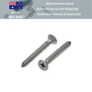 4 6 8 10 12 Countersunk Phillips Self Tapping Screws Grade 304 Stainless Steel