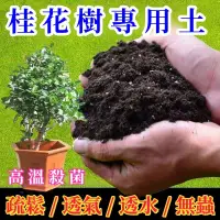 在飛比找蝦皮購物優惠-精品特級 桂花土 桂花樹專用土 花土 營養土 酸性土壤 改善