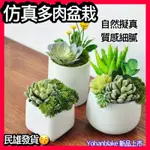 😇質感多肉植物😇仿真多肉盆栽 假綠植 裝飾品 小型植物 仿生植物 桌面盆景 擬真植物 假多肉 假植物