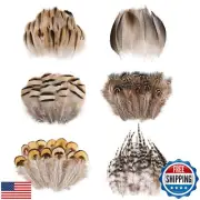 Daieeparty 180pcs Small Pheasant Feathers 6 Style Mixed Feathers Natural Feat
