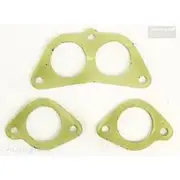 Platinum Extractor Gasket - HSM329