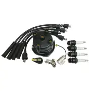 Complete Tune Up Kit Fits Massey Ferguson MF35 MF50 MF135 Tractor 4 Cylinder