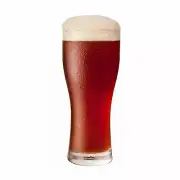 Traditional BOCK Extract Beer Brewing recipe Homebrew kit Malt & hops