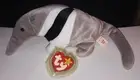 Ty Beanie Babies Ants 1998 *Hang & Tush Tag Errors*