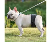 Pet Sanitary Pant Anti-Harassment Leak-Proof Pure Color Diapers Physiological Washable Pants Puppy Costume-Black