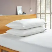 Serta Pillow King Size Feather Back Medium Firm +White Goose Down Fiber (2-Pack)