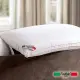 Raphael 拉斐爾 五星級飯店專用-羽絲絨枕(1入)