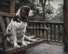 8x10 Matte Print_ English Springer Spaniel sitting on porch swing watching