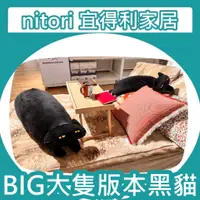 在飛比找蝦皮購物優惠-【竹代購】正品代購 nitori宜得利家居 限量商品 BIG