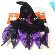 Fang Tastic WITCH HAT & COLLAR Pet Costume Medium / LARGE