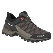 Shoes trekking women Salewa Mtn Trainer Lite Gtx 613627517 Brownn
