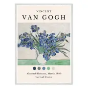 Galrie Van Gogh's Irises in Vase Iconic Post-Impressionist Art Print for Home Decor, White Frame, A4 21 x 30cm (8 x 12inch)