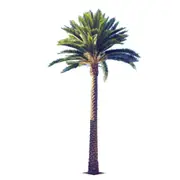 Tall Artificial Queensland Palm Tree (4m to 7m) UV Resistant - 6m