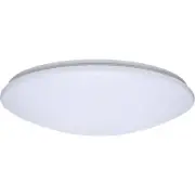 Nuvo Lighting 62/1858 ColorQuick LED 18.9 inch White Flush Mount Ceiling Light