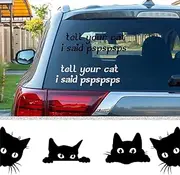 Frienda 6 Pieces Funny Cat Car Decal I Said Pspsps Decal Lover Peeking Car Sticker Curious Black Cat Sticker for Motorcycle Computer Phone Window Luggage Decoration
