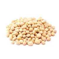 在飛比找蝦皮購物優惠-[堅果本舖] 生機黃豆(1000g/袋)