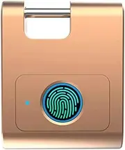 [ZLMHKZ] Gym Locker Padlock, Unlock Record, Schedule, IP65 Waterproof, Security Keyless Smart Lock for School/Gym Locker, Backpack, Travel Luggage(Rose Gold)