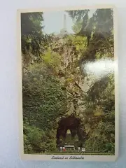Vintage Sentinel In Silhouette, Our Lady's Grotto, Portland, Oregon Postcard