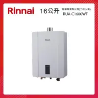 在飛比找PChome24h購物優惠-Rinnai 林內 16L 強制排氣熱水器 RUA-C160