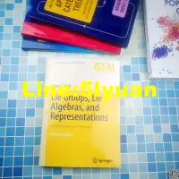 在飛比找露天拍賣優惠-黑白英文 Lie Groups Lie Algebras a