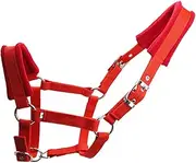 B Baosity Thicken Cob Horse Halter Rein Head Collar Horse Racing Stable Protective