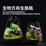 💖 生物方舟生態瓶 超白缸玻璃瓶 苔蘚瓶 花器 微景觀瓶 微景瓶 帶燈生態瓶  傢居生態瓶  微景觀生態瓶 XXC5