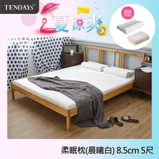 【TENDAYS】DS柔眠床墊5尺標準雙人(晨曦白 8.5cm厚 記憶床)