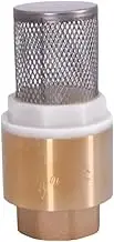 1/2" 3/4" 1" 1-1/4" 1-1/2" 2" 2-1/2" BSP Female Brass Check Valve Non-Return with Steel Strainer Filter for Water Plumbing(Steel Strainer,1-1/2")