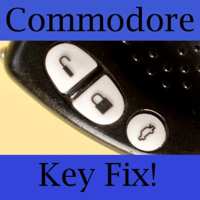 Holden Commodore Key Buttons VS VT VX VY VZ White Set
