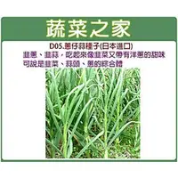 在飛比找蝦皮購物優惠-【蔬菜之家滿額免運】D05.蔥仔蒜種子100顆(夏天種植，植