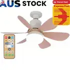 40W 20 in LED Fan Lamp Ceiling Fan Noiseless 6 Blade with Remote Control & Timer