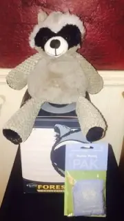 New In Box Scentsy Buddy Rowan The Raccoon Retired Rare WITH scent Pak