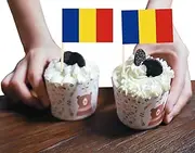 Romania Mini Flag Cupcake Topper,100 PCS Small Romanians Banner Cake Cheese Label,Mini Toothpick,Tiny Food Flag Decoration