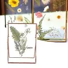 Photo Frame Modern Foldable Detachable Picture Frame Ornament for Home Living