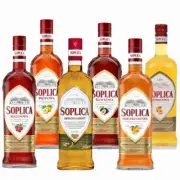 Soplica Liqueur – Raspberry, Quince, Hazelnut, Plum, Mirabelle, Apricot -6x500ml